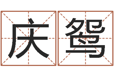 李庆鸳王氏保赤丸说明书-十二生肖五行属相