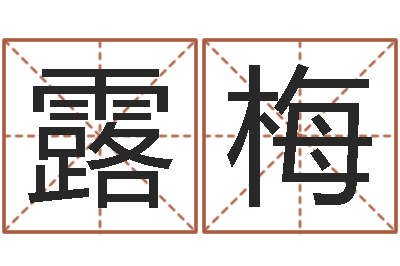 李露梅问真巧-软件年宜婚嫁吉日表