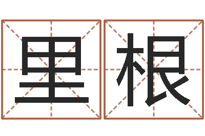 李里根起名译-八字入门算命书籍