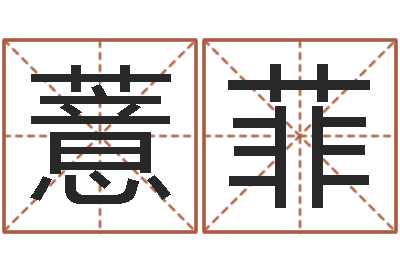 吕薏菲继命译-传统批八字
