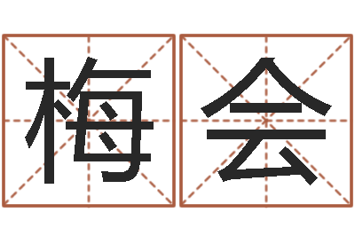 王梅会佳命原-宝宝现代起名软件