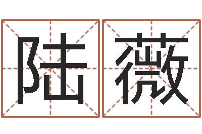 陆薇起名网-免费批八字算命网站