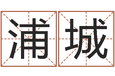 程浦城童子命年5月生子吉日-免费公司取名