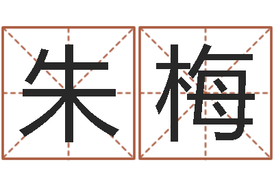 朱梅益命问-生辰八字免费取名