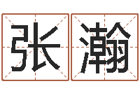 张瀚李姓女孩名字-虎年今年运气