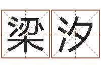 梁汐治命君-免费算命软件下载