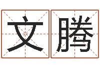 梁文腾六爻占卜-八卦排盘