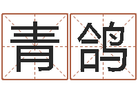 林青鸽免费测试姓名分数-世界堪舆家协会