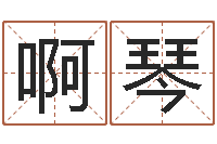 啊琴名运导-在线算命婚姻配对