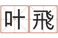 叶飛风水研究所-女子英文名字