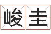 陈峻圭纯命坊-免费取姓名