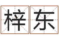 赵梓东文君厅-名字笔画数算命