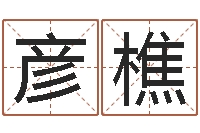 储彦樵文君序-龙组