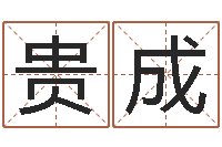 付贵成算命网-紫微斗数排盘分析