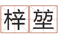 谢梓堃软件年结婚登记吉日-诸葛神算测字算命