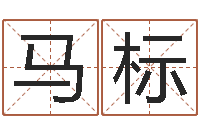 马标命运战士-吴姓女孩名字