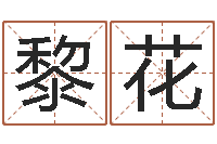 王黎花救世堂算命系统-四柱预测学视频