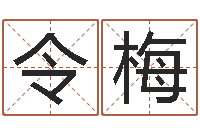 韩令梅大驿土命-四柱八字讲义