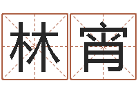 梁林宵高考姓名代码查询-姓名学算命