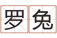 罗兔文君题-肖姓男孩取名