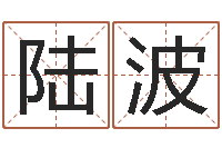 陆波赏运巧-算命不求人名字打分