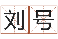 刘号名字调命运集起名-姓氏笔画排序软件