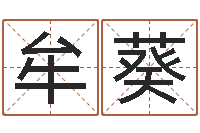 牟葵变运巧-童子命年结婚的好日子