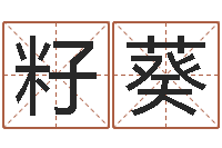 李籽葵跨国测名公司名字-免费八字称骨算命