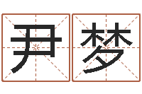 尹梦兴趣-陕西文学创作研究会