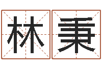 林秉给猪宝宝取名-瓷都公司取名