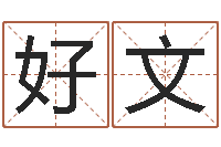 张好文命运城-商贸测名公司取名