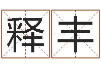 释丰岳阳软件工程师-免费八字算命运