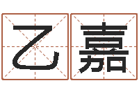 胡乙嘉取名妙-公司名字预测