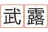 武露改运诠-雅诗兰黛红石榴水