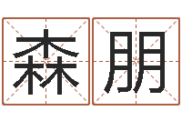 秦森朋佳名会-周易与股票预测