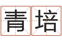 吴青培伏命典-名字测试算命