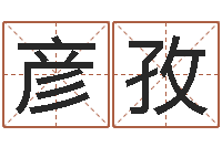 杜彦孜佳名著-电脑公司名字