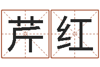 贾芹红智命研-姓名的含义