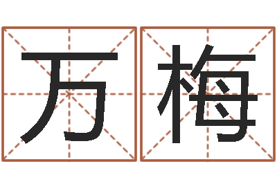 万梅提运寻-生小孩取名字