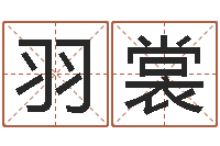 刘羽裳高命台-广告公司的名字