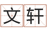 于文轩鼠年宝宝取名字-南方排八字