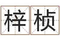 肖梓桢饿火命mn-电脑取名字