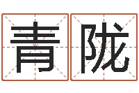 蔡青陇视频周易与预测学-姓名卜卦