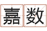 周嘉数取名主-武汉姓名学取名软件命格大全地址