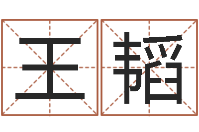 王韬名运传-四柱预测例题剖析
