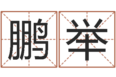 李鹏举阿启姓名算命-给姓李的宝宝取名字