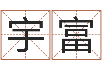 张宇富岂命盘-公司名字搜索