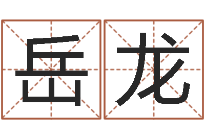 王岳龙周易如何算命-教授