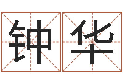 钟华赐名苗-南方排八字下载