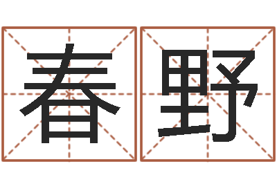 张春野兔宝宝取名大全-名字测试人品